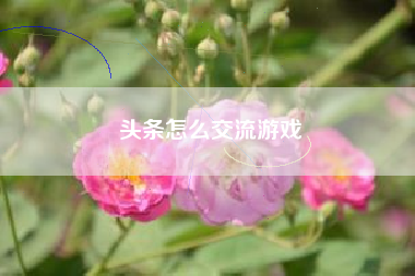 头条怎么交流游戏