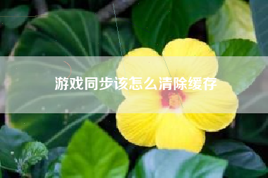 游戏同步该怎么清除缓存