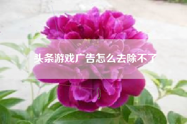 头条游戏广告怎么去除不了