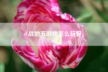 战地五游戏怎么玩好