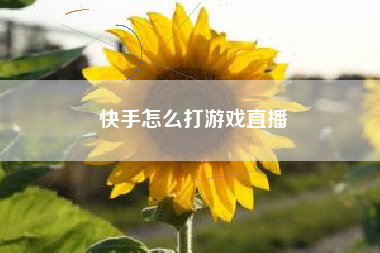 快手怎么打游戏直播