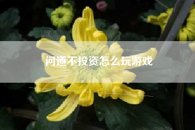 问道不投资怎么玩游戏