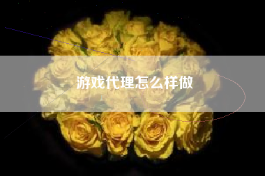 游戏代理怎么样做