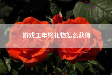 游戏王年终礼物怎么获得