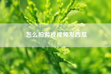 怎么拍游戏视频发西瓜