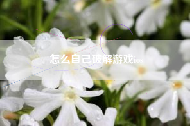 怎么自己破解游戏ios