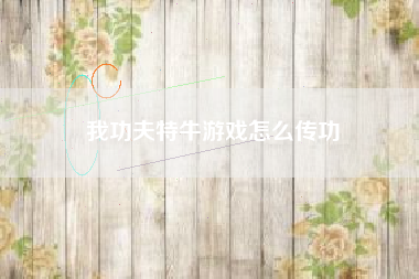 我功夫特牛游戏怎么传功