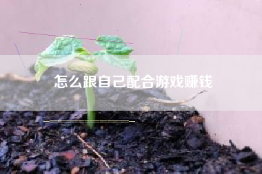 怎么跟自己配合游戏赚钱