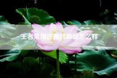 王者荣耀露娜打游戏怎么样