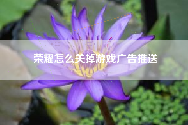 荣耀怎么关掉游戏广告推送