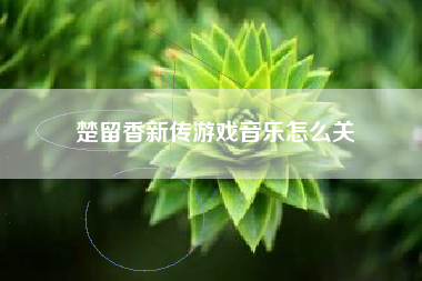 楚留香新传游戏音乐怎么关