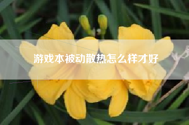 游戏本被动散热怎么样才好