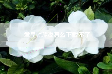 拳皇97游戏怎么下载不了