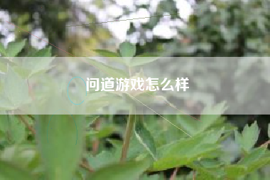 问道游戏怎么样