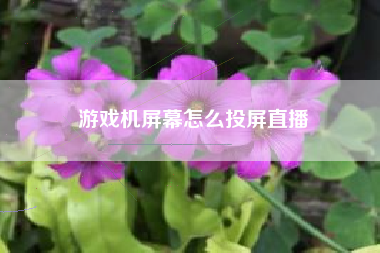 游戏机屏幕怎么投屏直播