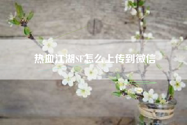 热血江湖SF怎么上传到微信