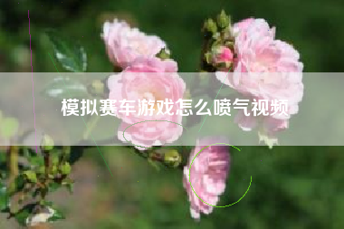 模拟赛车游戏怎么喷气视频