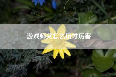 游戏师父怎么玩才厉害