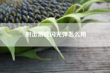 射击游戏闪光弹怎么用