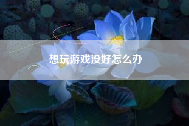 想玩游戏没好怎么办