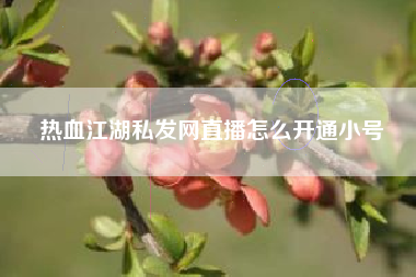 热血江湖私发网直播怎么开通小号