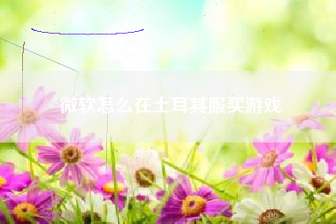 微软怎么在土耳其服买游戏