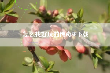 怎么找好玩的传奇SF下载