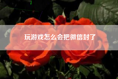 玩游戏怎么会把微信封了