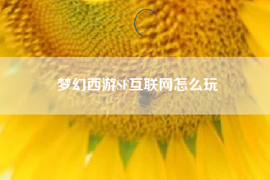 梦幻西游SF互联网怎么玩
