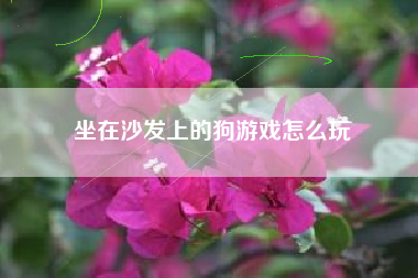 坐在沙发上的狗游戏怎么玩