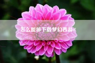 怎么能够下载梦幻西游sf