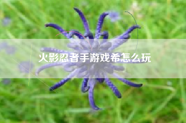 火影忍者手游戏希怎么玩