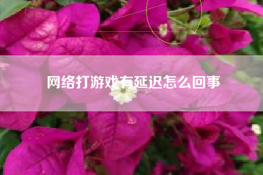 网络打游戏有延迟怎么回事