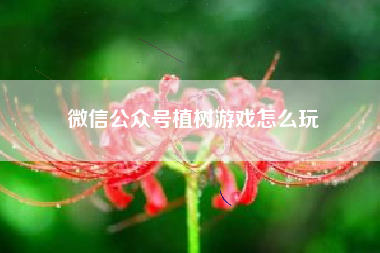 微信公众号植树游戏怎么玩