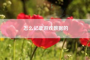 怎么记录游戏数据的