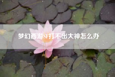 梦幻西游SF打不出大神怎么办