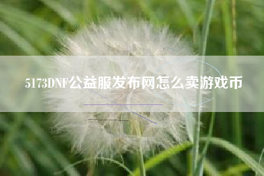 5173DNF公益服发布网怎么卖游戏币