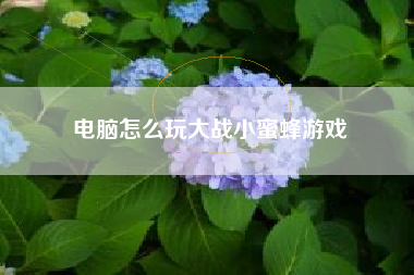 电脑怎么玩大战小蜜蜂游戏