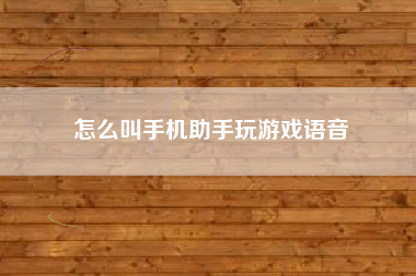 怎么叫手机助手玩游戏语音