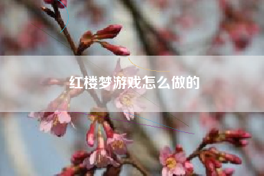 红楼梦游戏怎么做的