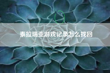 泰拉瑞亚游戏记录怎么找回