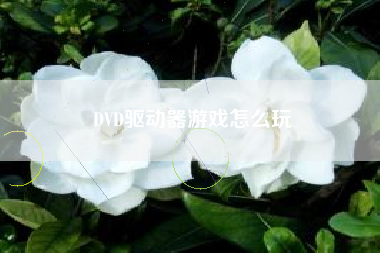 DVD驱动器游戏怎么玩