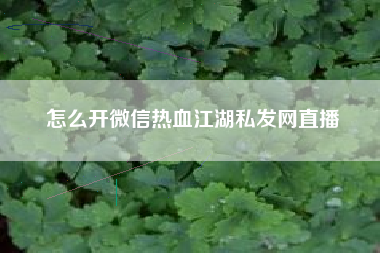 怎么开微信热血江湖私发网直播