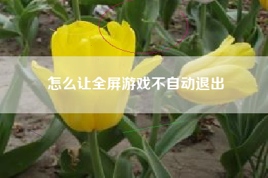 怎么让全屏游戏不自动退出