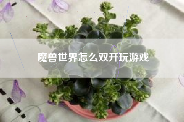 魔兽世界怎么双开玩游戏
