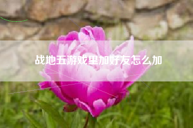 战地五游戏里加好友怎么加
