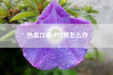 热血江湖SF付费怎么办