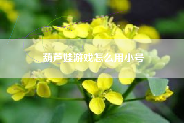 葫芦娃游戏怎么用小号