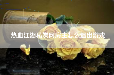 热血江湖私发网房主怎么退出游戏