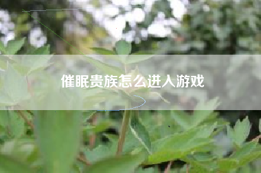 催眠贵族怎么进入游戏